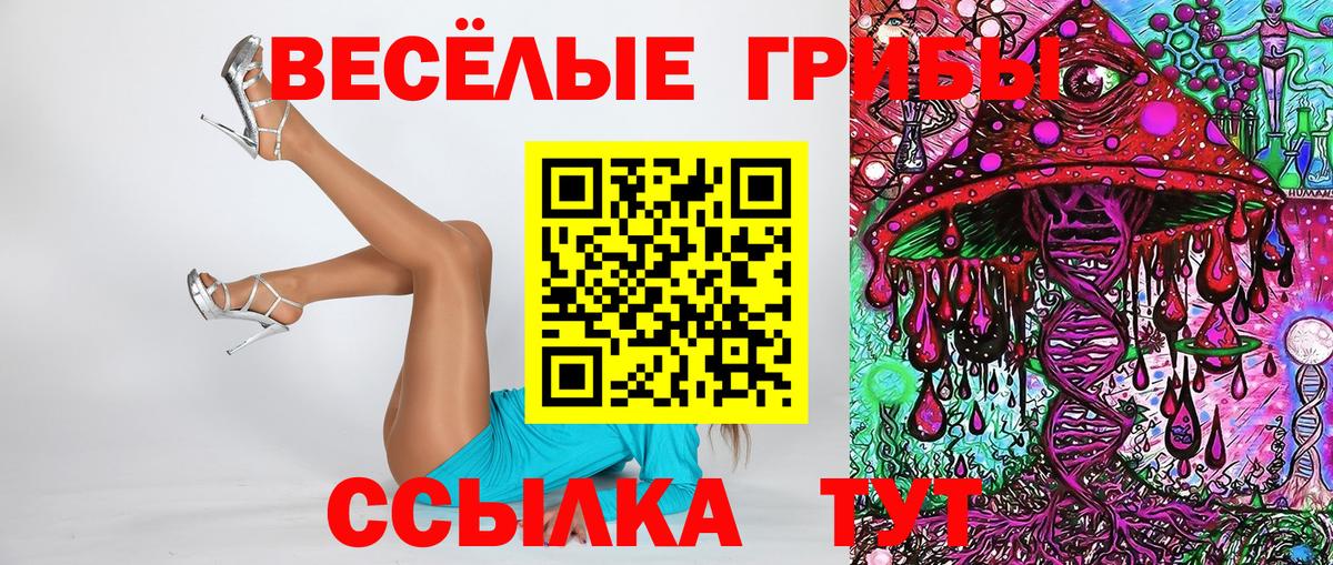 Ачхой-Мартан  Псилоцибиновые грибы MAGIC MUSHROOMS  Вход с VPN 