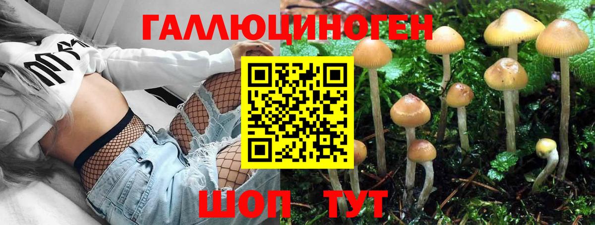 Псилоцибиновые грибы ЛСД Ачхой-Мартан